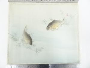 昭和期　香畝筆　鮒　肉筆絹本めくり